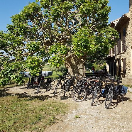 Mas Dans La Campagne Pour Loisirs Et Teletravail Villa Sarrians Kültér fotó